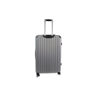 imagem do produto Mala Ellus Eagle, 360º,  Tam G, Prata, Cadeado Tsa